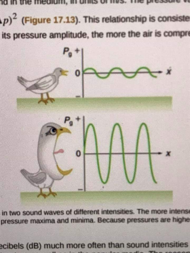 beak - Iu Ii wie meului, al U S a. pro 1pFigure 17.13. This relationship is consiste its pressure amplitude, the more the air is compre Semua in two sound waves of different intensities. The more intens pressure maxima and minima. Because pressures are hi