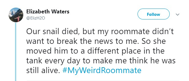 sister tweets funny - Elizabeth Waters Our snail died, but my roommate didn't want to break the news to me. So she moved him to a different place in the tank every day to make me think he was still alive. Roommate