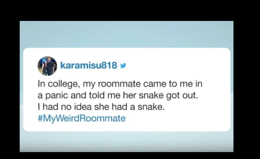 multimedia - karamisu818 In college, my roommate came to me in a panic and told me her snake got out. I had no idea she had a snake. Roommate