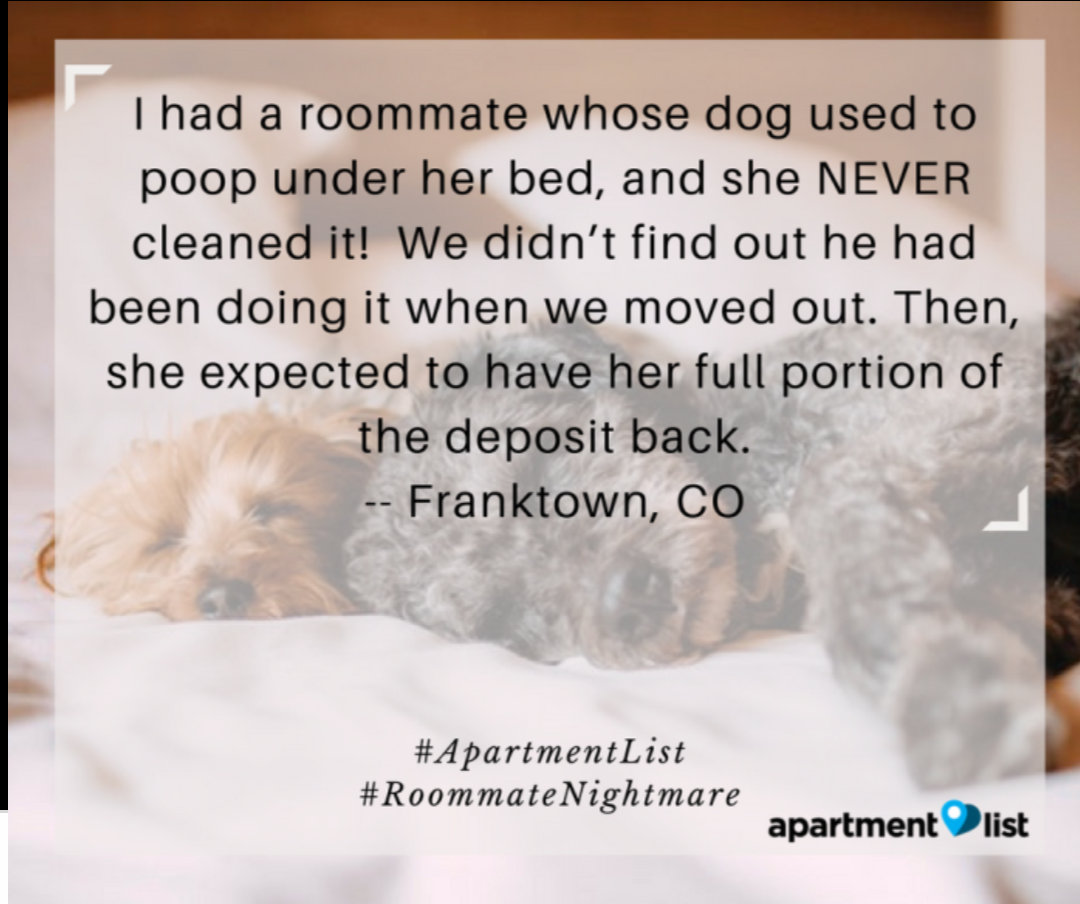 photo caption - I had a roommate whose dog used to poop under her bed, and she Never cleaned it! We didn't find out he had been doing it when we moved out. Then, she expected to have her full portion of the deposit back. Franktown, Co Nightmare apartment 