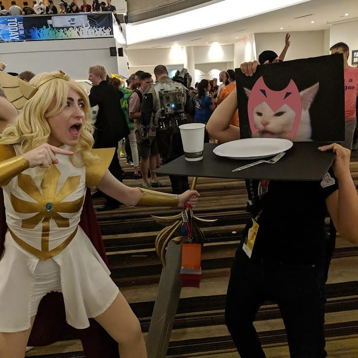 woman yelling at cat she ra - Uvert Today