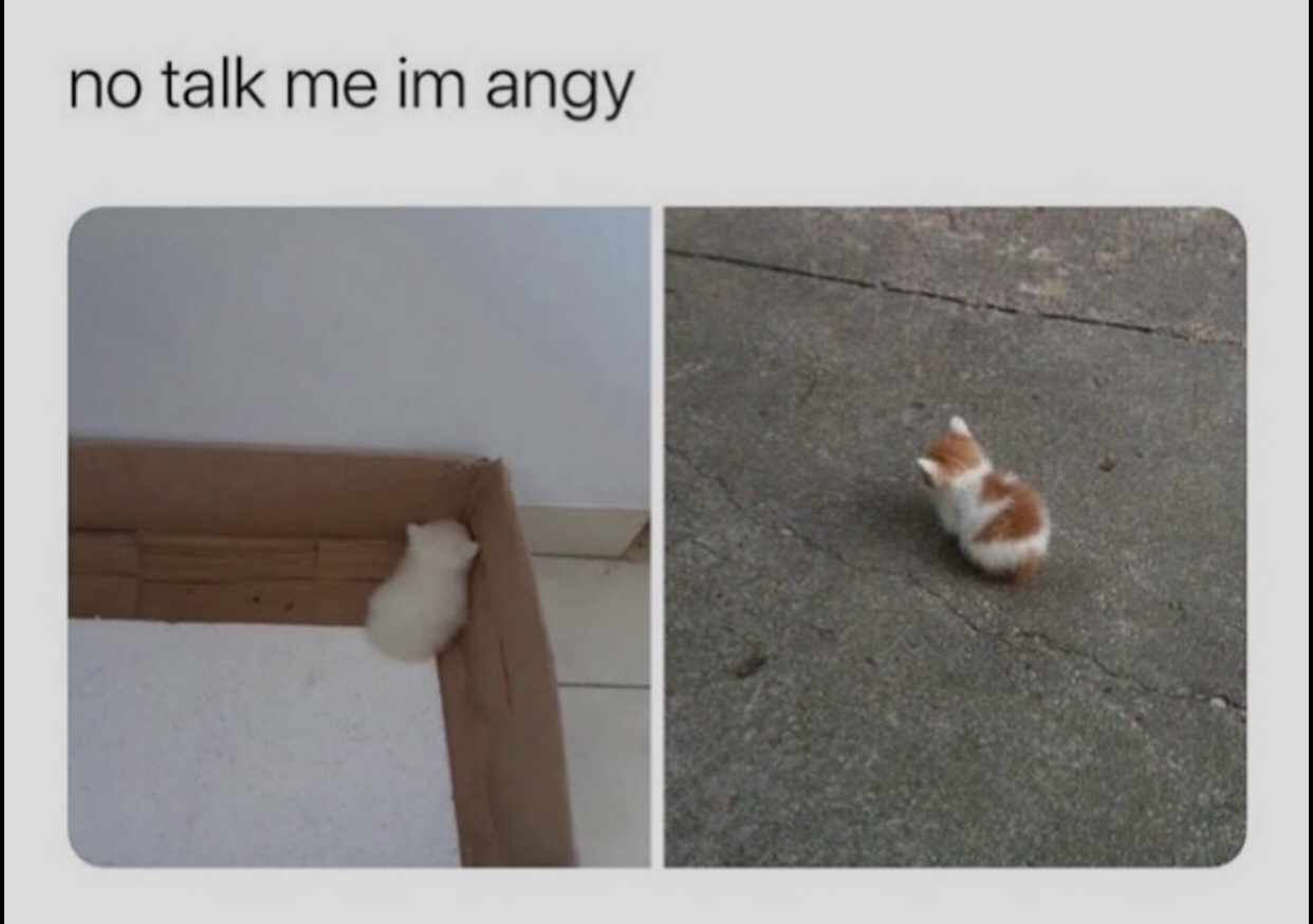 no talk me im angy - no talk me im angy