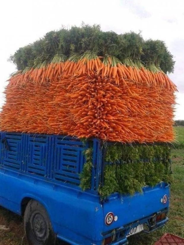 truck with carrots