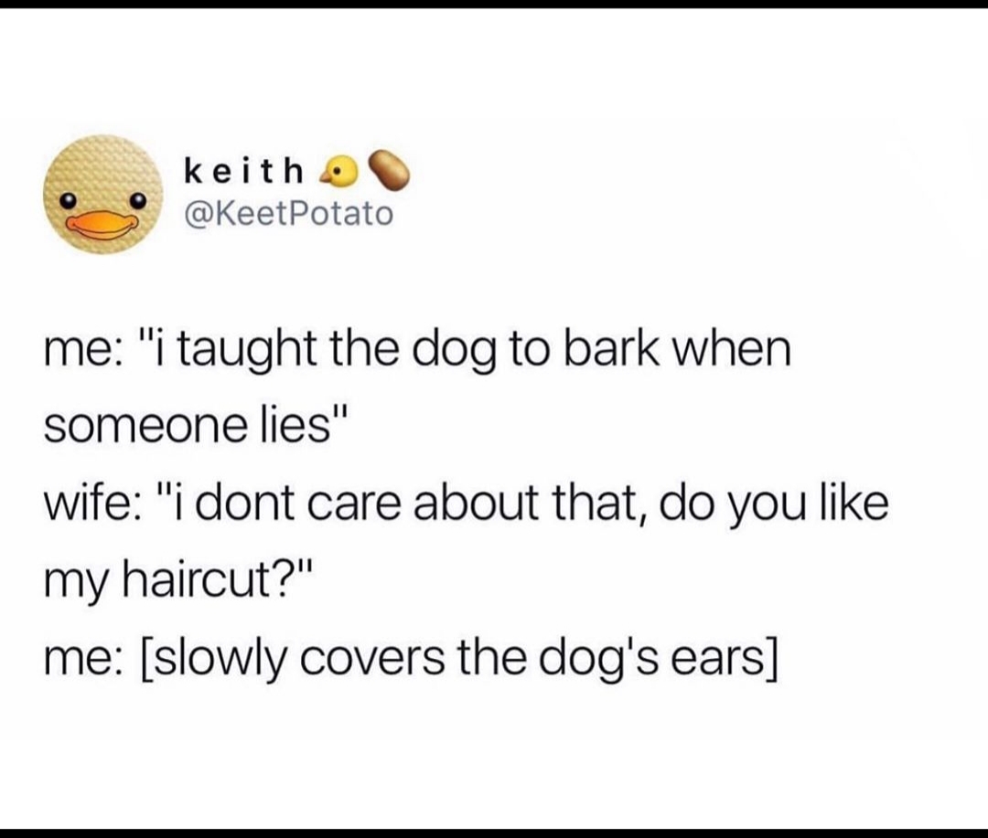 funny classified - keith Potato me "i taught the dog to bark when someone lies" wife "i dont care about that, do you my haircut?" me slowly covers the dog's ears