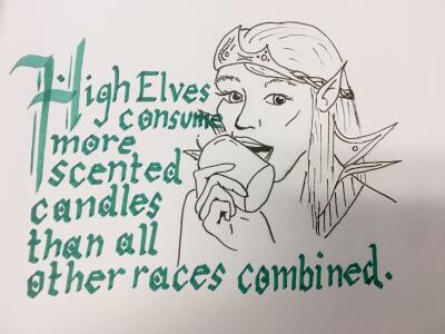 dungeons and dragons memes - Ligh Elves WIconsumie L more Scented R candles y than all other races combined.
