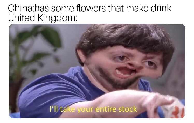ll take your entire stock memes - Chinahas some flowers that make drink United Kingdom I'll take your entire stock