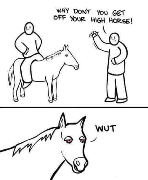 get off your high horse - Why Don'T You Get Off Your High Horse! wa Wut W la n