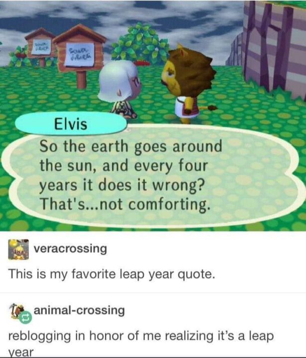 best animal crossing dialogue - Elvis So the earth goes around the sun, and every four years it does it wrong? That's...not comforting. veracrossing This is my favorite leap year quote. T animalcrossing reblogging in honor of me realizing it's a leap year
