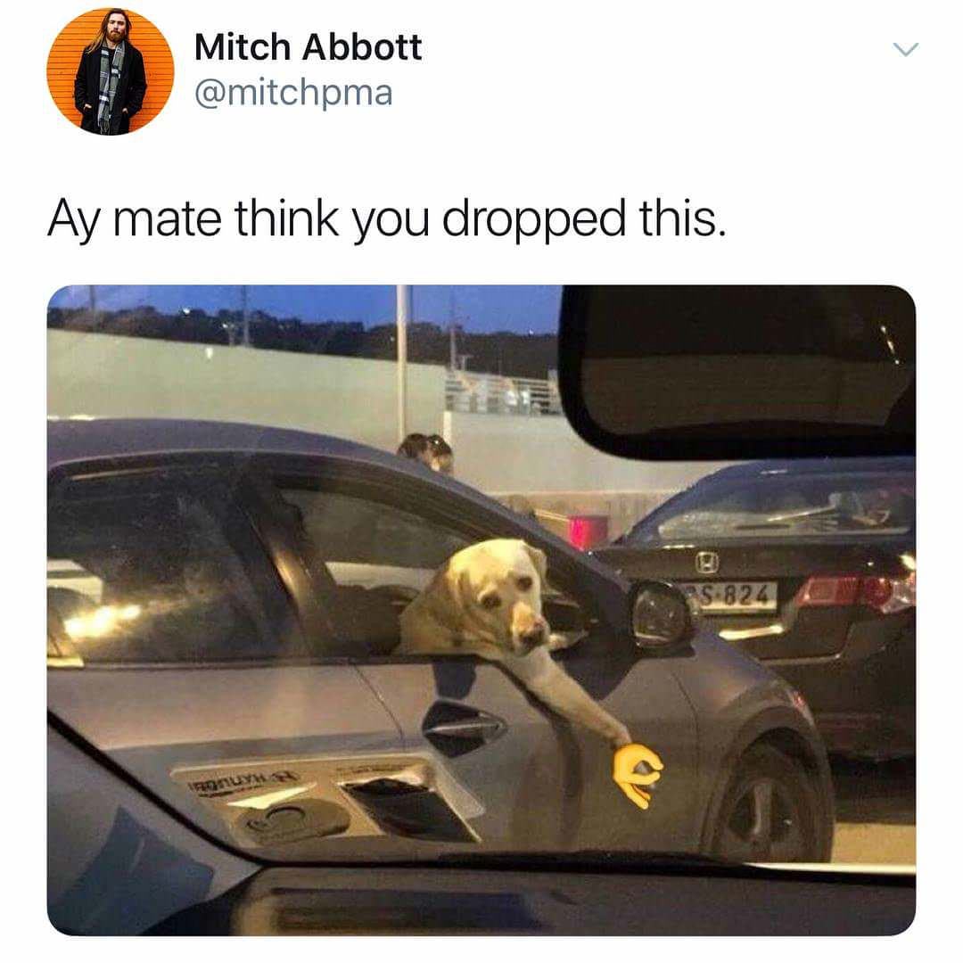 aye mate you dropped - Mitch Abbott Ay mate think you dropped this. 5.824