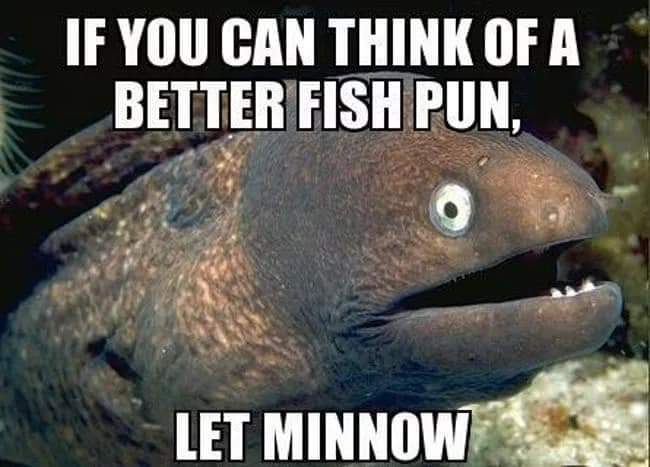 bad joke eel - If You Can Think Of A Better Fish Pun, Let Minnow