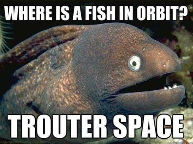 bad joke eel - Where Is A Fish In Orbit? Trouter Space