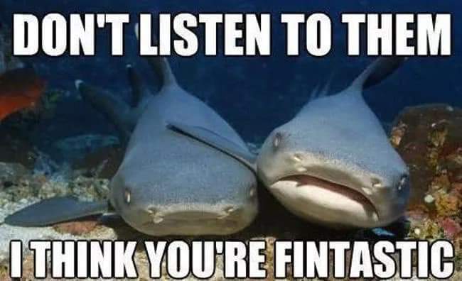 funny shark memes - Don'T Listen To Them I Think You'Re Fintastic