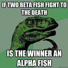 funny memes 18+ - If Two Beta Fish Fight To The Death 2 Is The Winner An Alpha Fish