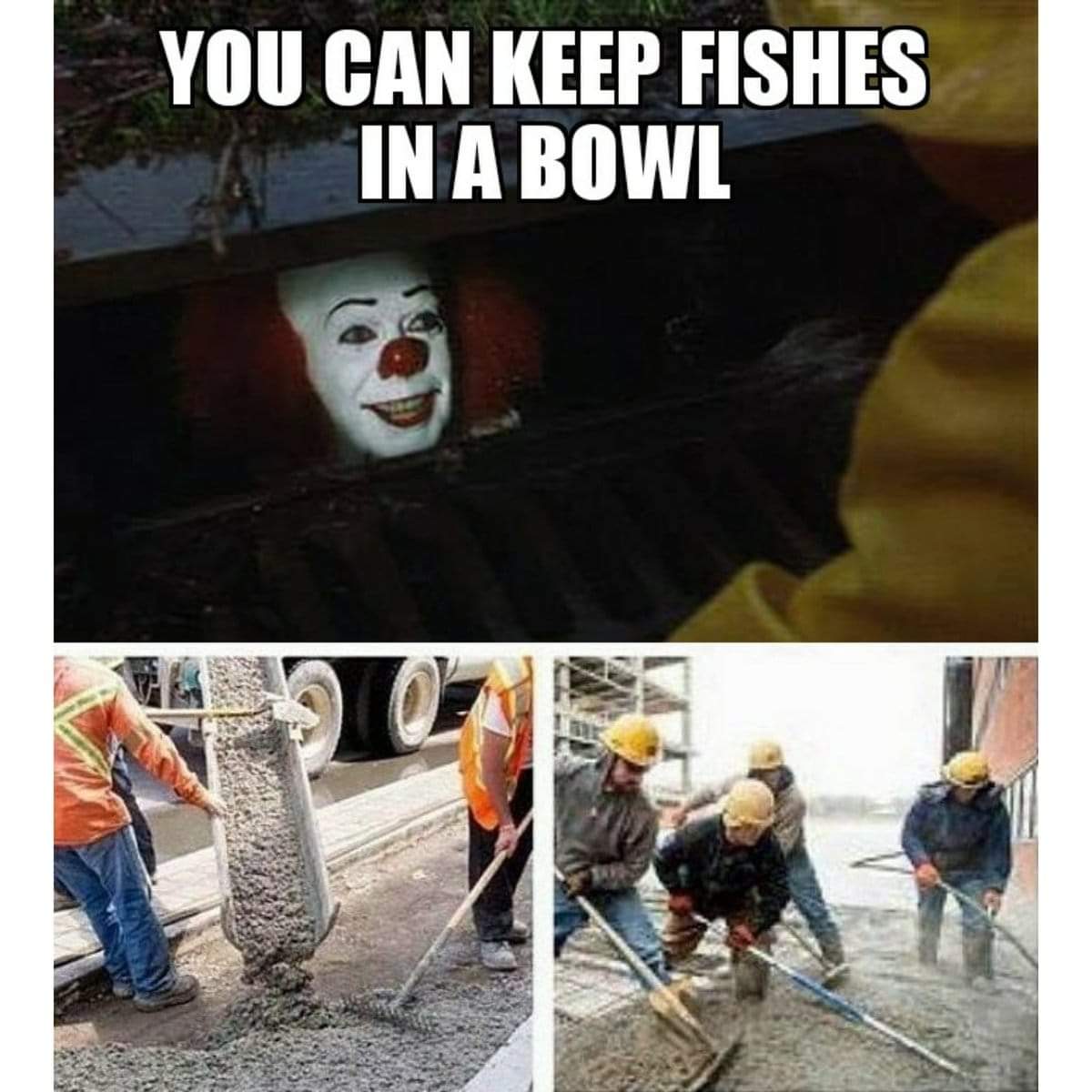 waffles vs pancakes memes - You Can Keep Fishes In A Bowl