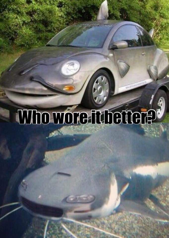 catfish car - Who wore itibetterad