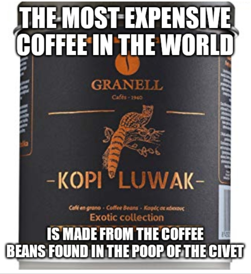 The MostExpensive Coffee In The World Granell Cafs Kopi Luwak Caf en grano Coffee Beans Kagecoe Oxy Exotic collection Is Made From The Coffee Beans Found In The Poop Of The Civet