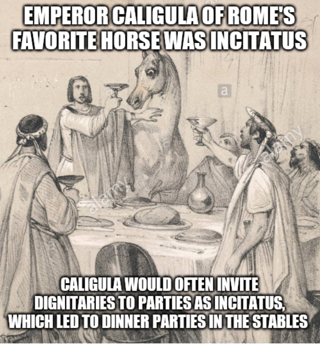 caligula incitatus - Emperor Caligula Of Rome'S Favorite Horse Was Incitatus A Caligula Would Often Invite Dignitaries To Parties As Incitatus, Which Led To Dinner Parties In The Stables Elisa 22