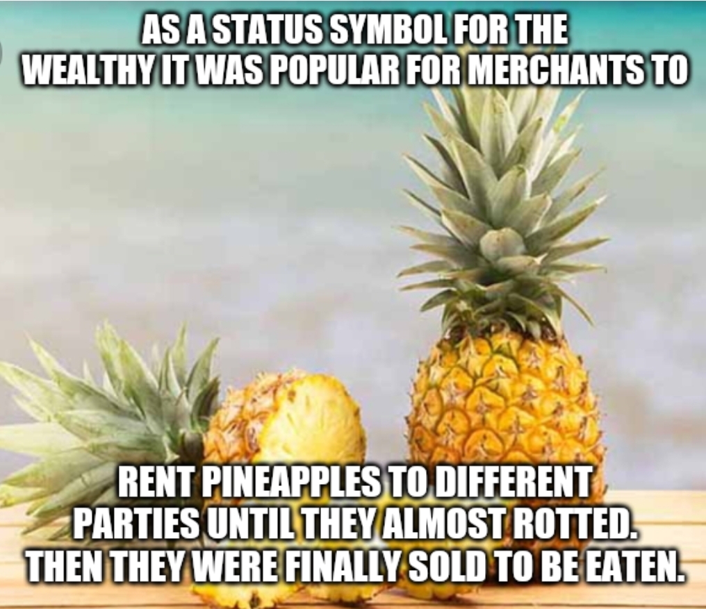 As A Status Symbol For The Wealthy It Was Popular For Merchants To Rent Pineapples To Different Parties Until They Almost Rotted. Then They Were Finally Sold To Be Eaten.