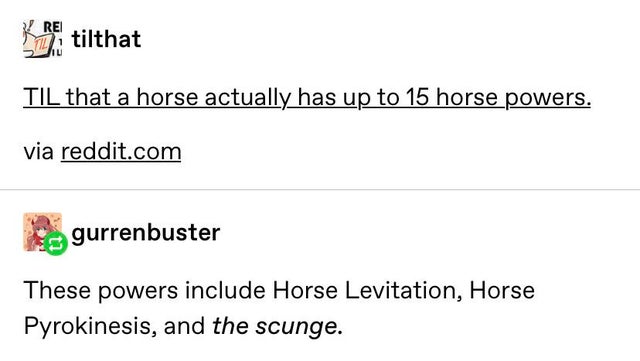 scunge horse - Katilthat Til that a horse actually has up to 15 horse powers. via reddit.com gurrenbuster These powers include Horse Levitation, Horse Pyrokinesis, and the scunge.
