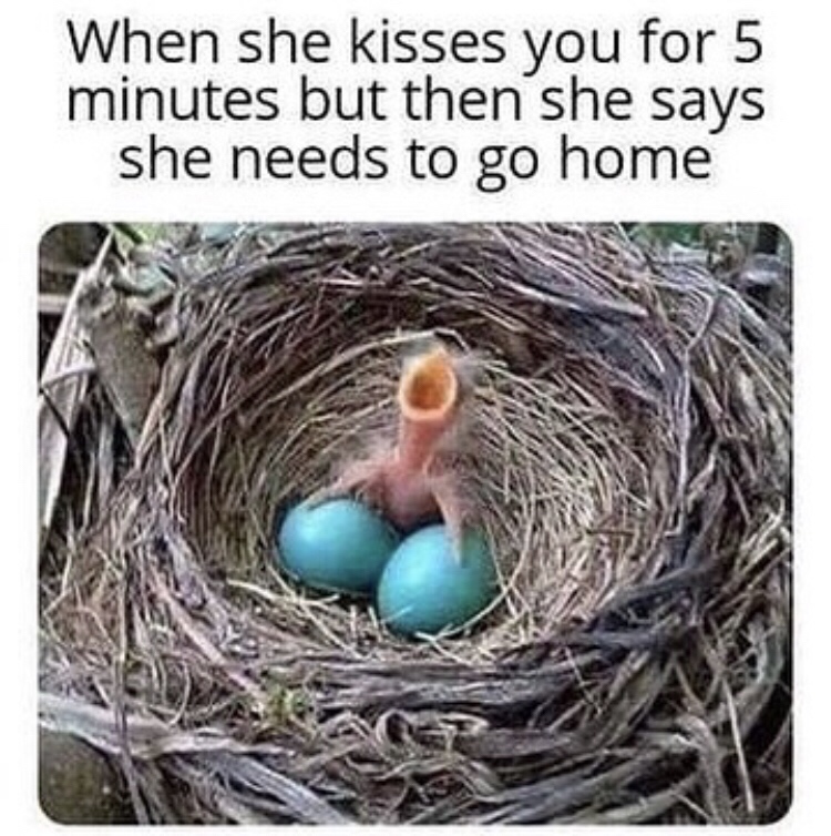 she kisses you for 5 minutes meme - When she kisses you for 5 minutes but then she says she needs to go home