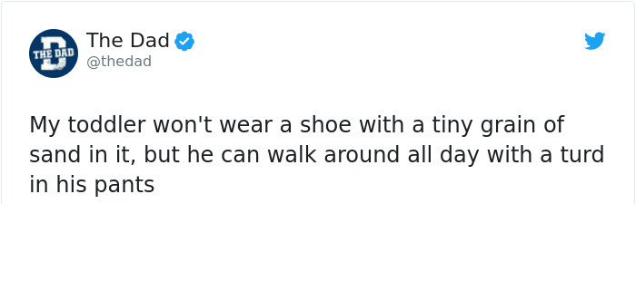 document - The Dad The Dado My toddler won't wear a shoe with a tiny grain of sand in it, but he can walk around all day with a turd in his pants