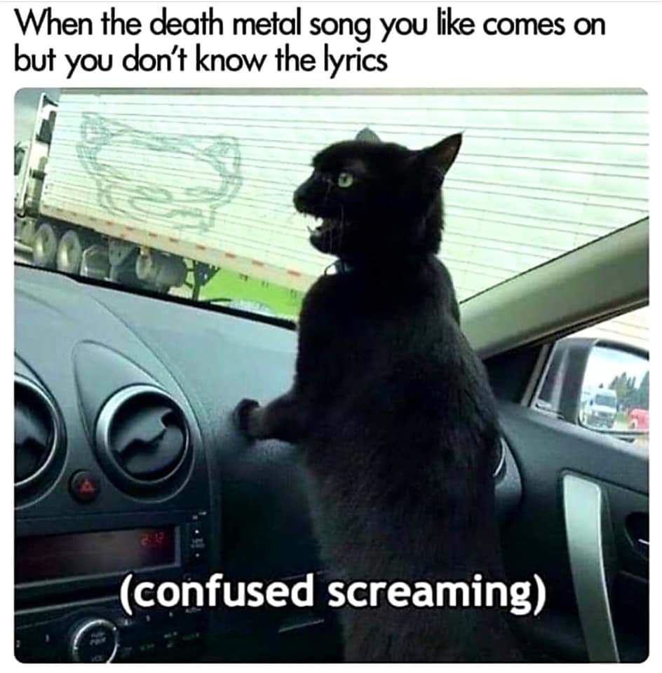 your friends take you hostage - When the death metal song you comes on but you don't know the lyrics confused screaming