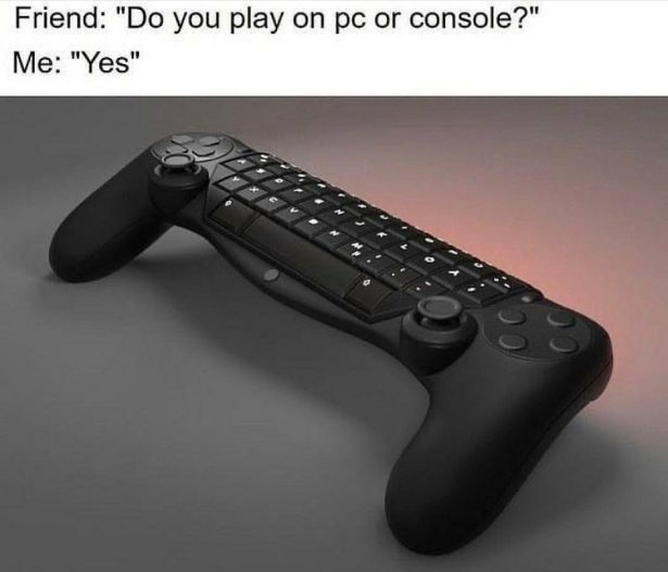 cartoon - Friend "Do you play on pc or console?" Me "Yes"