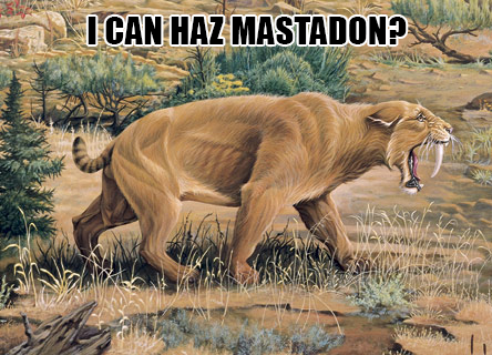 saber tooth cat - I Can Haz Mastadon? Nano