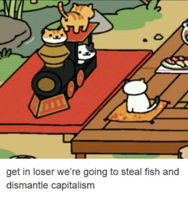 neko atsume memes - get in loser we're going to steal fish and dismantle capitalism