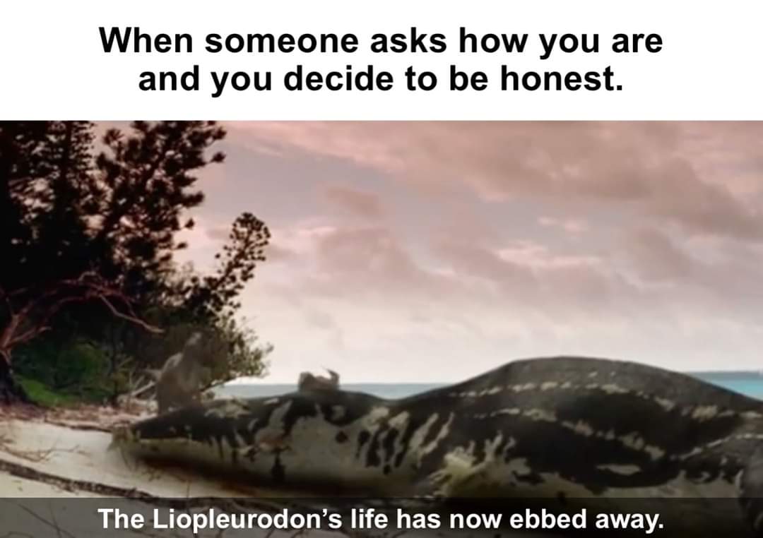 alligator - When someone asks how you are and you decide to be honest. The Liopleurodon's life has now ebbed away.