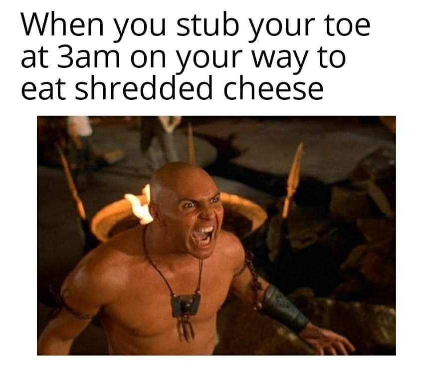 photo caption - When you stub your toe at 3am on your way to eat shredded cheese