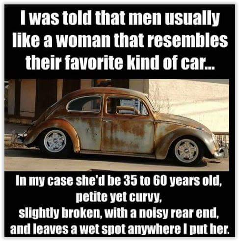 beetle car memes - I was told that men usually a woman that resembles their favorite kind of car... En In my case she'd be 35 to 60 years old, petite yet curvy, slightly broken, with a noisy rear end, and leaves a wet spot anywhere I put her.