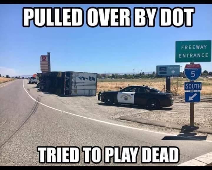 transportation humor - Pulled Over By Dot Freeway Entrance 5 Shu South Tried To Play Dead