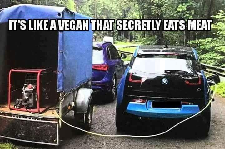 it's like a vegan that secretly eats meat - It'S A Vegan That Secretly Eats Meats . 2010