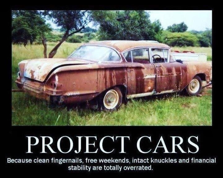 project car meme - Project Cars Because clean fingernails, free weekends, intact knuckles and financial stability are totally overrated.