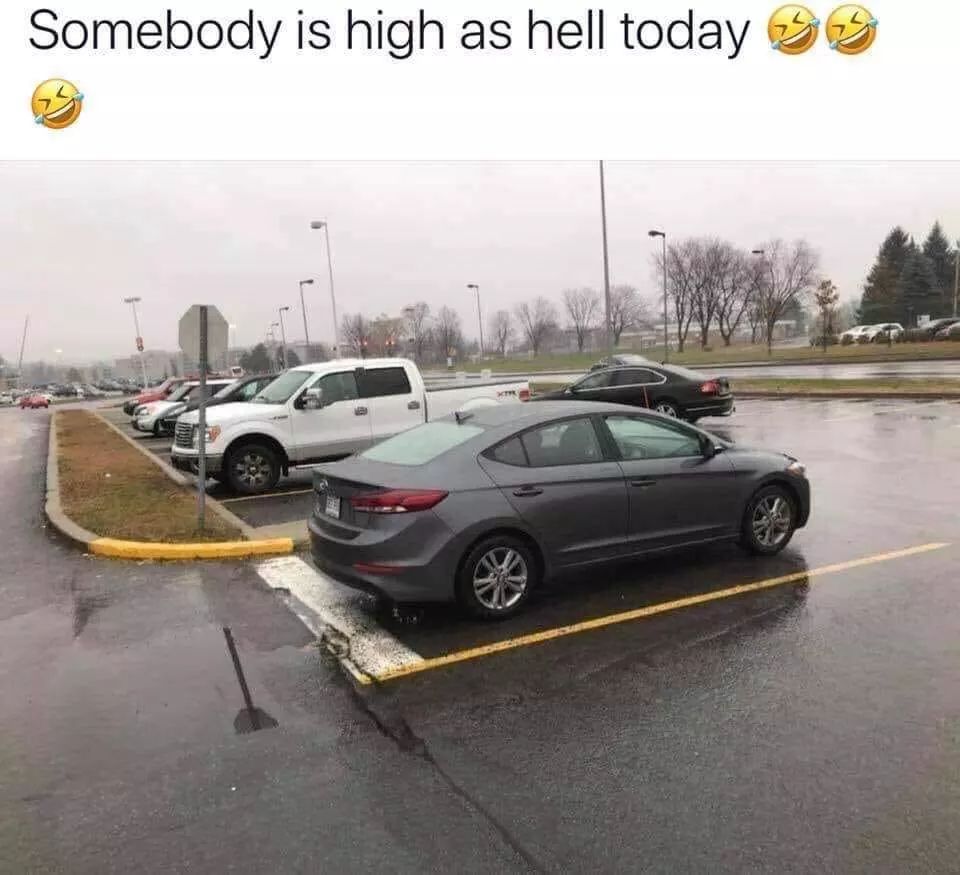 high as hell meme - Somebody is high as hell today 39