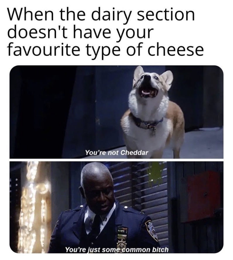 funny meme brooklyn nine nine - When the dairy section doesn't have your favourite type of cheese You're not Cheddar You're just some common bitch