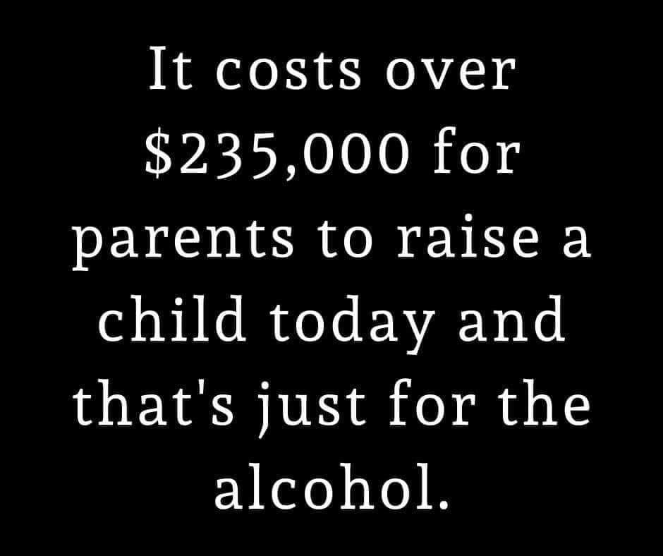 try so hard - It costs over $235,000 for parents to raise a child today and that's just for the alcohol.
