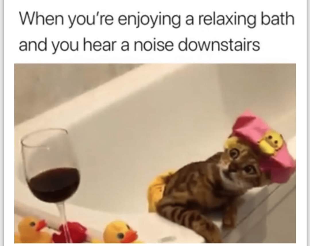 angel bengal - When you're enjoying a relaxing bath and you hear a noise downstairs