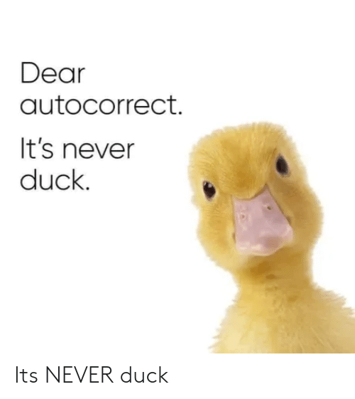 autocorrect duck meme - Dear autocorrect. It's never duck. Its Never duck