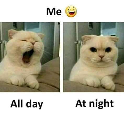 me all day all night - Me 6 All day At night