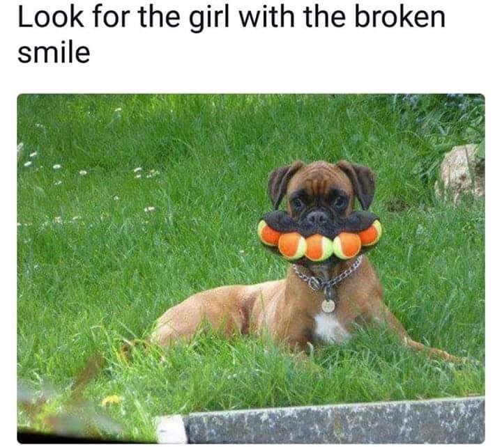 blursed dog - Look for the girl with the broken smile