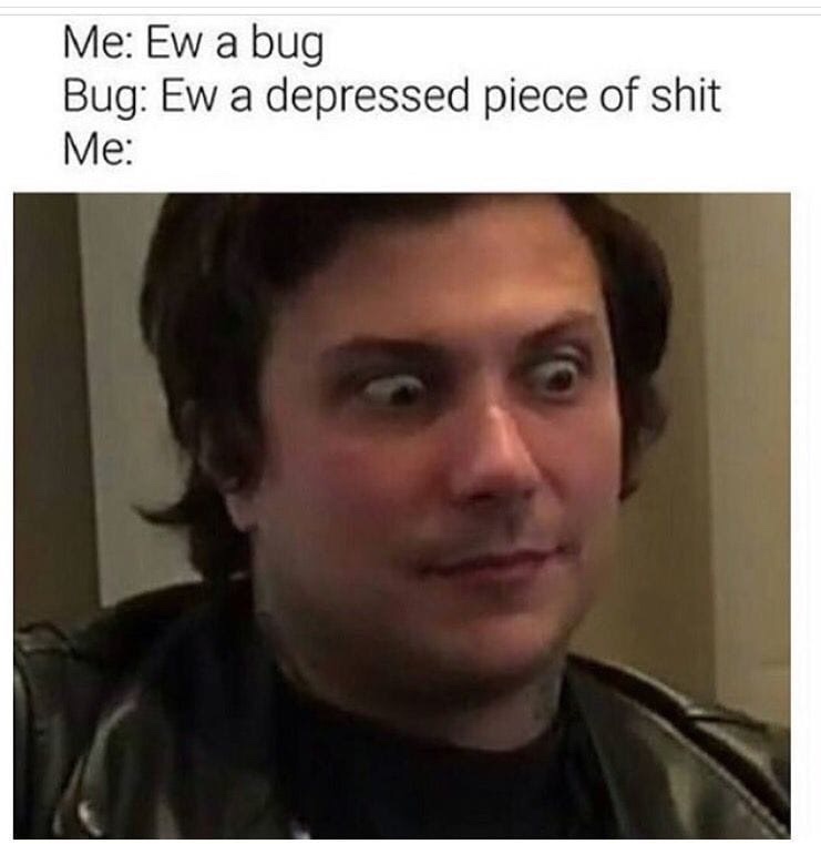 funny mcr memes - Me Ew a bug Bug Ew a depressed piece of shit Me