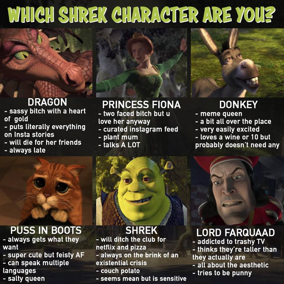 gemini shrek - Which Shrek Character Are You? Dragon sassy bitch with a heart of gold puts literally everything, on Insta stories will die for her friends always late Princess Fiona two faced bitch but u love her anyway curated instagram feed plant mum ta