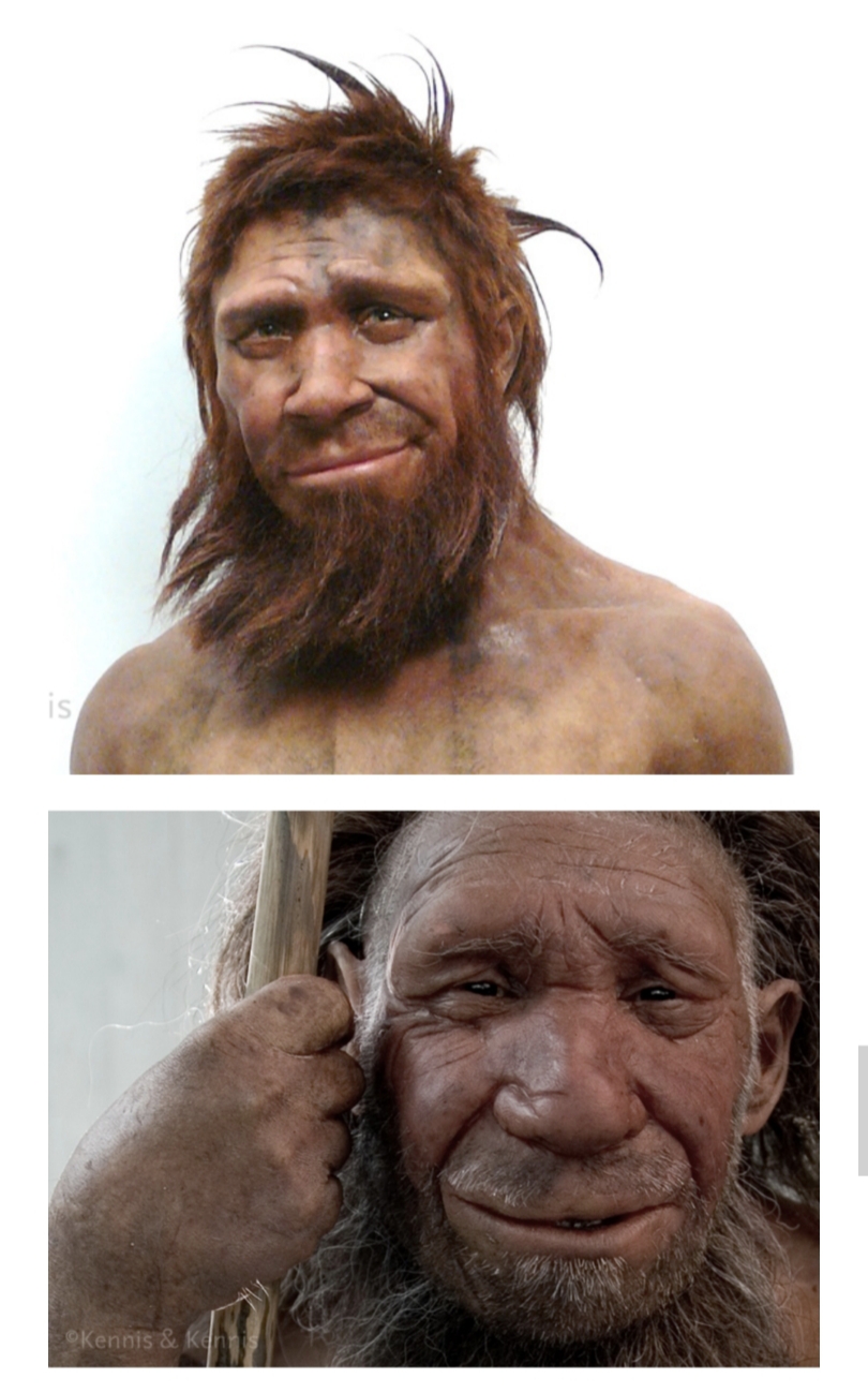 modern neanderthal
