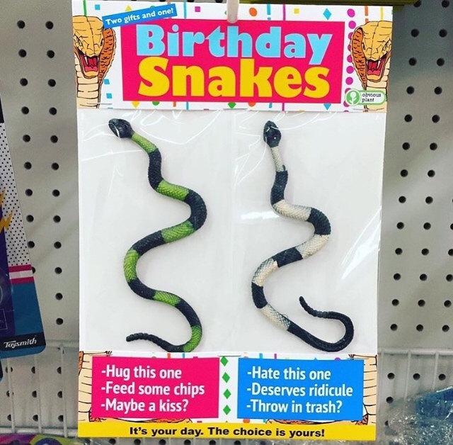 obvious plant snakes - Two gifts and one! Birthday Snakes i Turismich Hug this one Feed some chips Maybe a kiss? Hate this one Deserves ridicule Throw in trash? It's your day. The choice is yours!