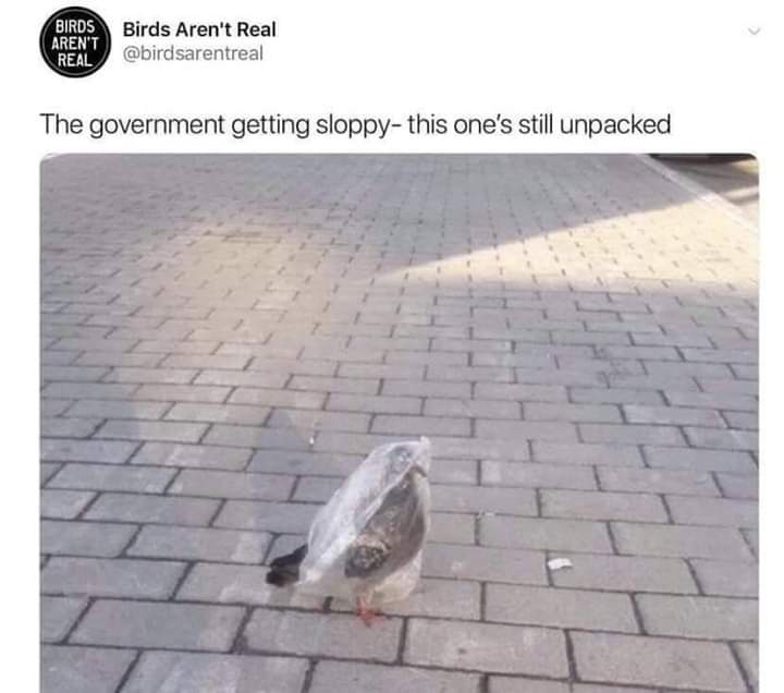 government is getting sloppy - Birds Aren'T Real Birds Aren't Real The government getting sloppy this one's still unpacked