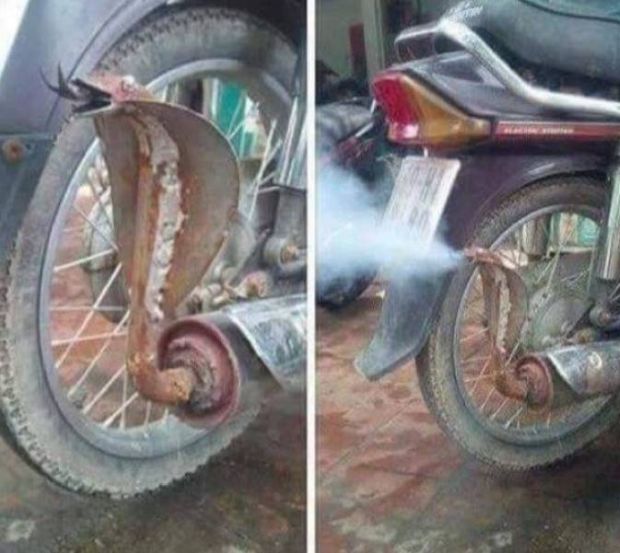 motorcycle exhaust meme