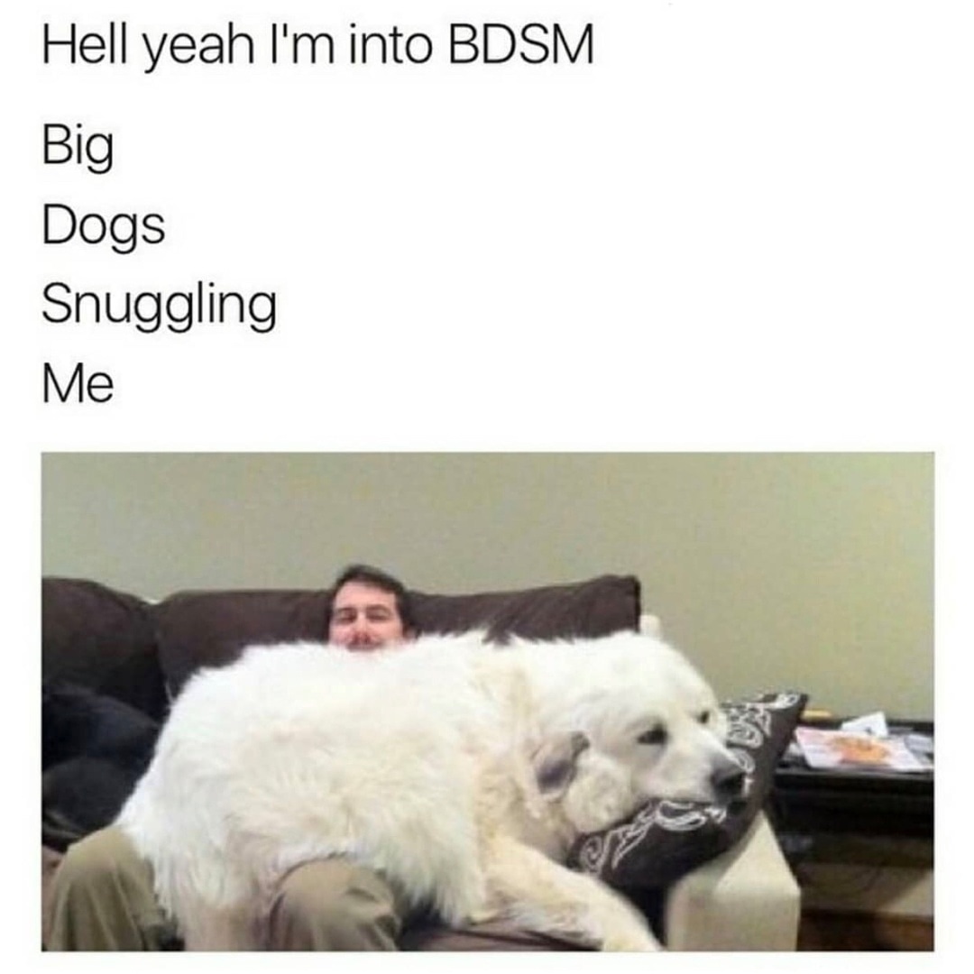 big dogs snuggling me - Hell yeah I'm into Bdsm Big Dogs Snuggling Me