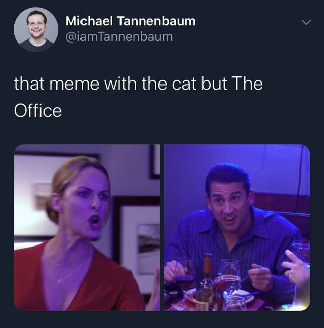 office meme - Michael Tannenbaum that meme with the cat but The Office